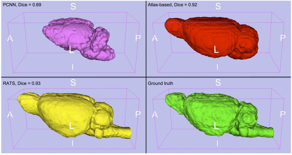 rats-rat3d.jpeg